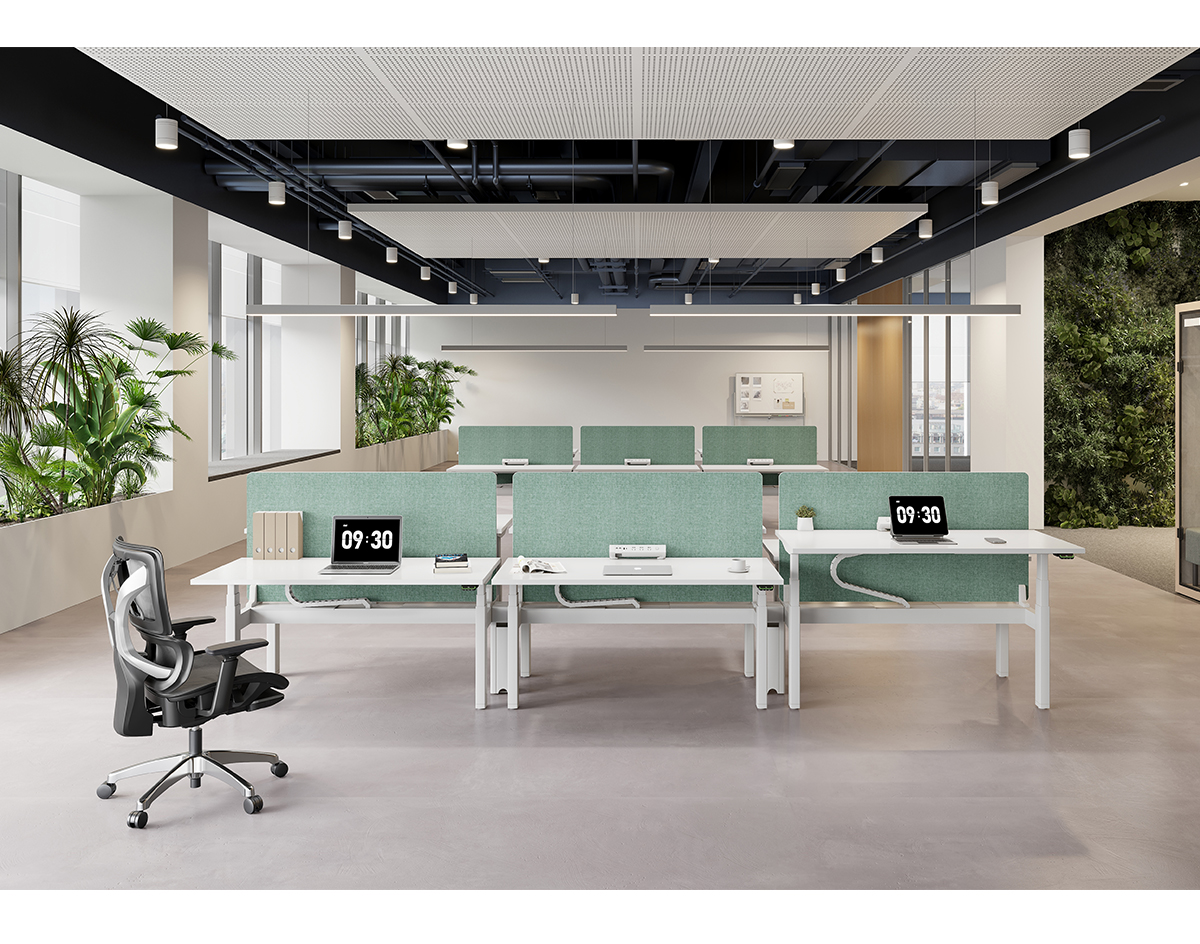 2-Person Back-to-Back Partition LINAK Height Adjustable Workstation | FortuneRise