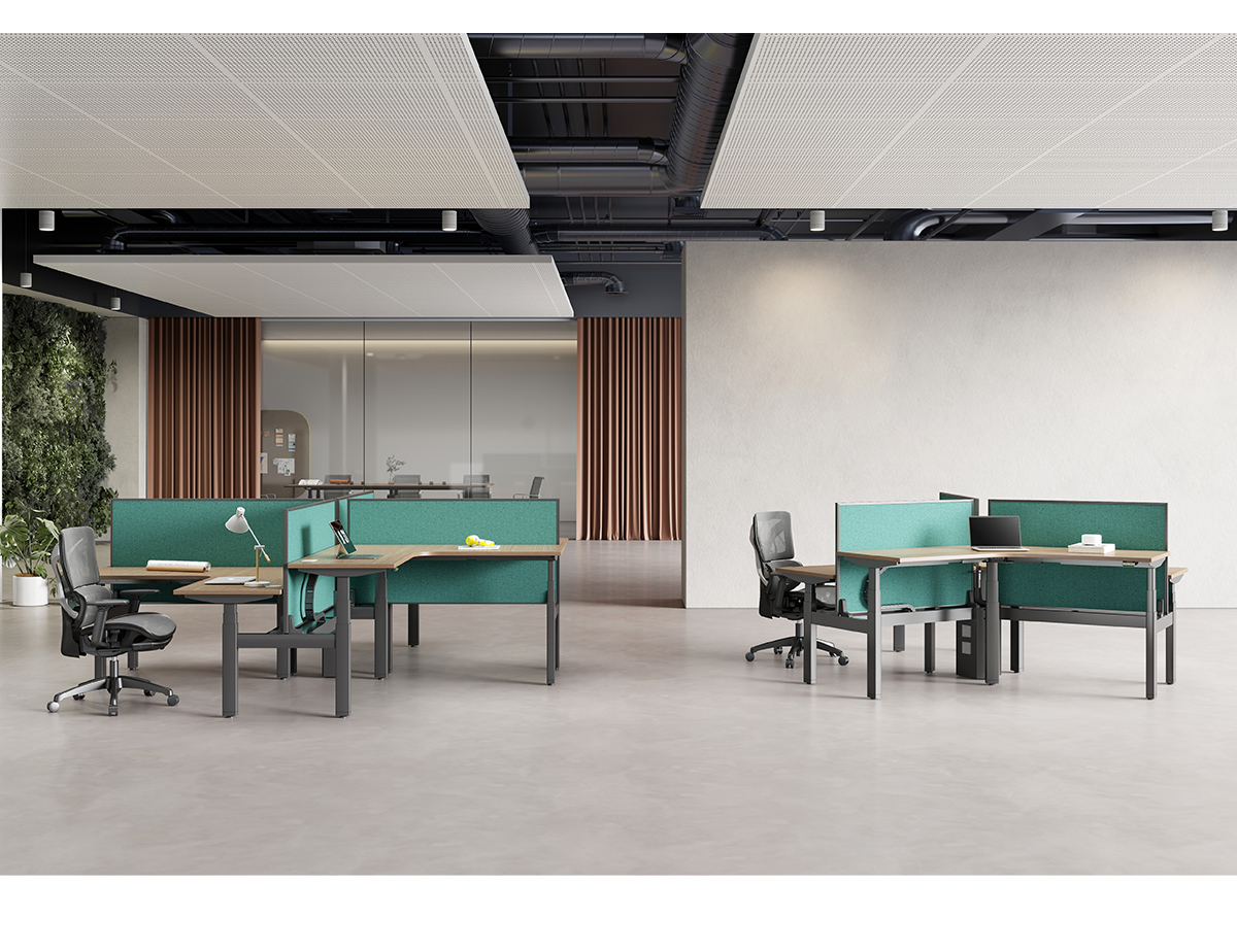 3-Person Partition LINAK DL6 Height Adjustable Workstation | FortuneRise