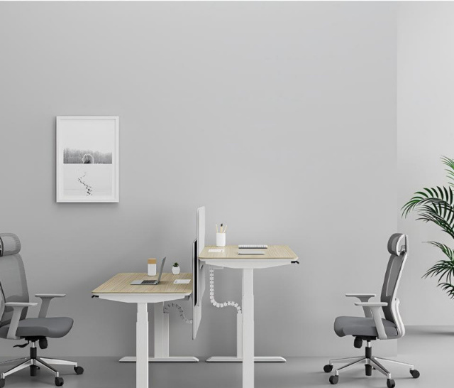 1-Person Sit-Stand Workstation with LINAK Dual Motor