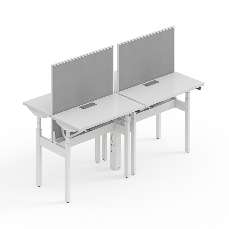 4-Person Back-to-Back Partition LINAK DL6 Height Adjustable Workstation | FortuneRise