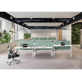 2-Person Back-to-Back Partition LINAK Height Adjustable Workstation | FortuneRise
